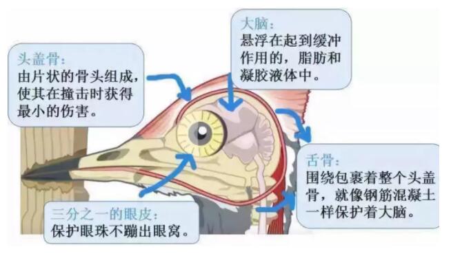 昆明安全帽，安全買冷知識你知道嗎？